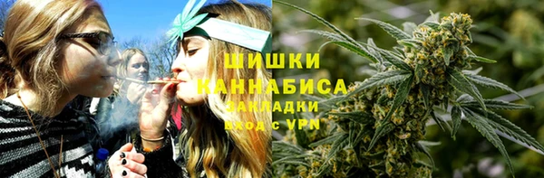 PSILOCYBIN Баксан